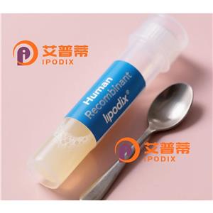DCPS抗體,Rabbit Polyclonal DCPS Antibody