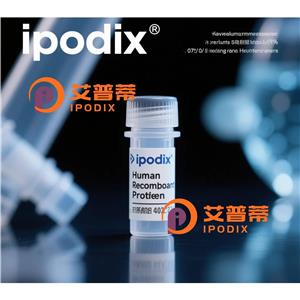 DCAF10抗体,Rabbit Polyclonal DCAF10 Antibody