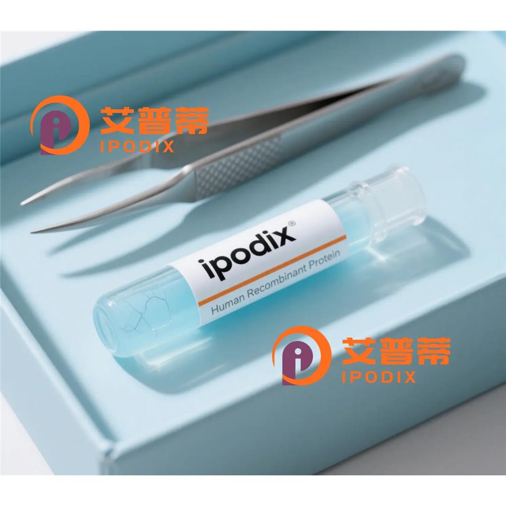POC1A抗體,Rabbit Polyclonal POC1A Antibody