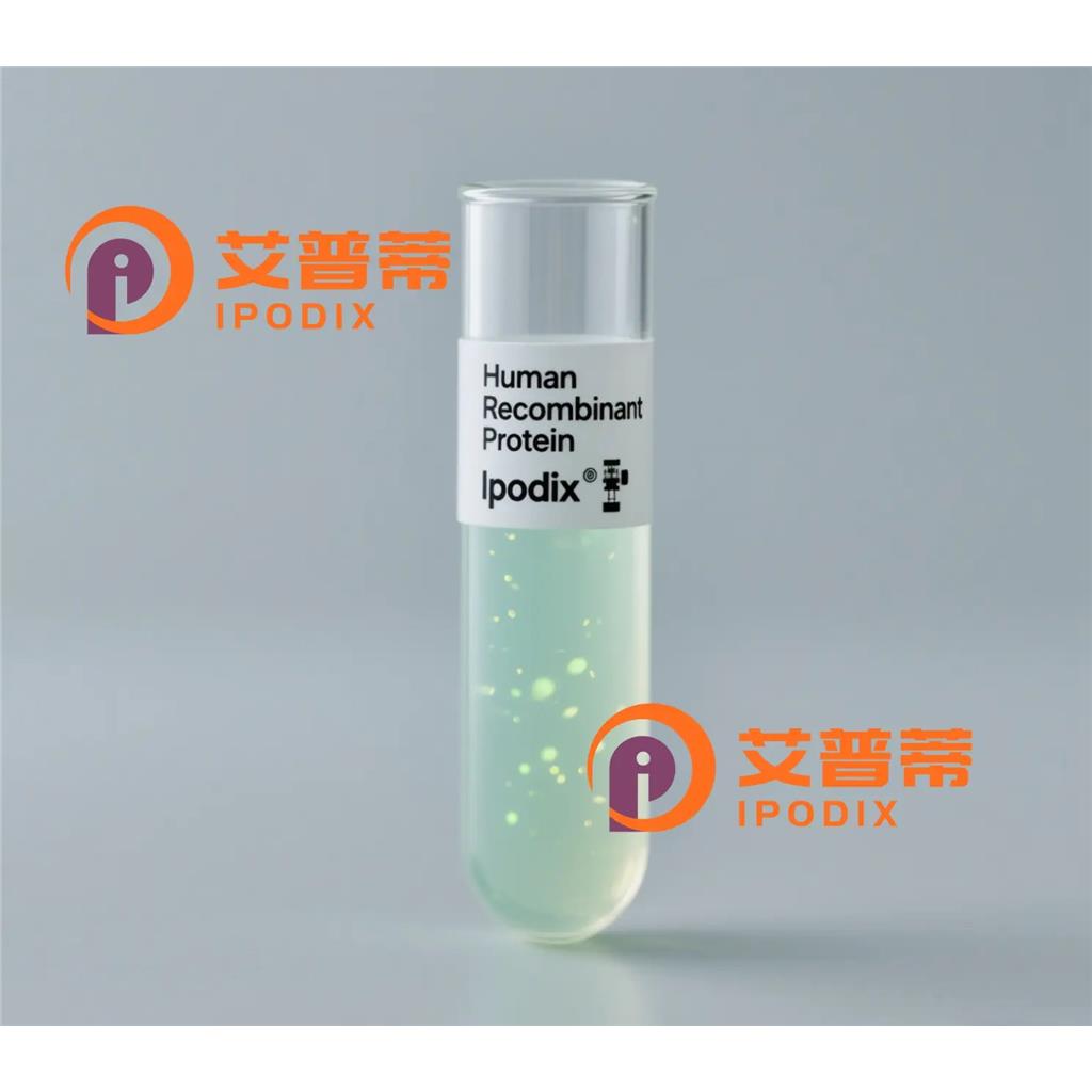 TMEM38B抗体,Rabbit Polyclonal TMEM38B Antibody
