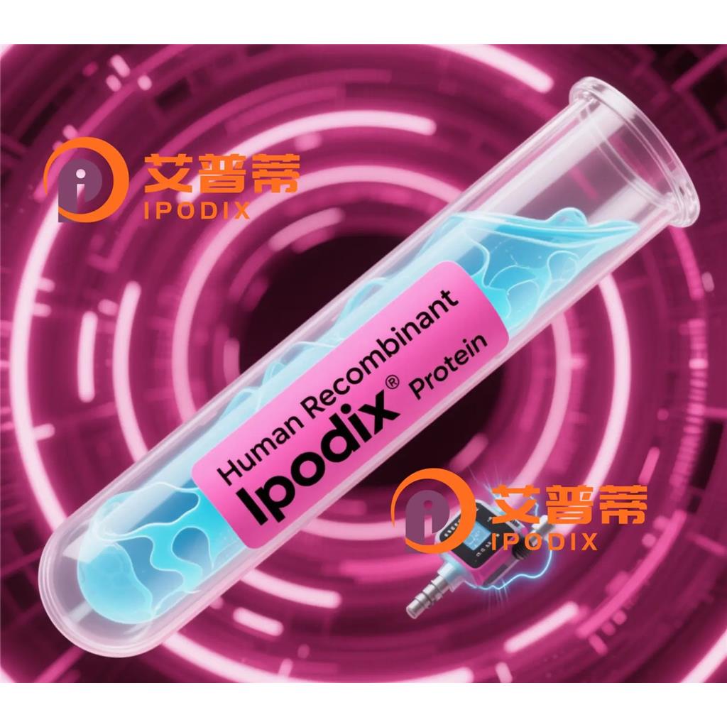 TRIM44抗體,Rabbit Polyclonal TRIM44 Antibody