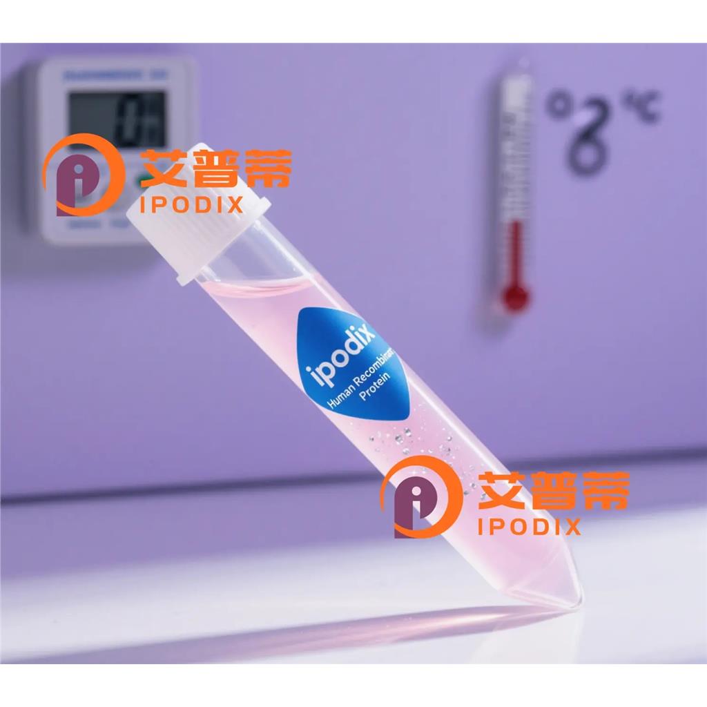 AR抗体,Rabbit Polyclonal AR Antibody
