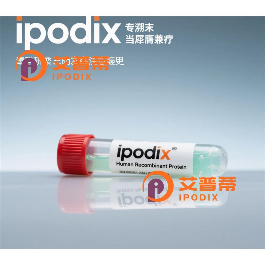ASCL1抗體,Rabbit Polyclonal ASCL1 Antibody