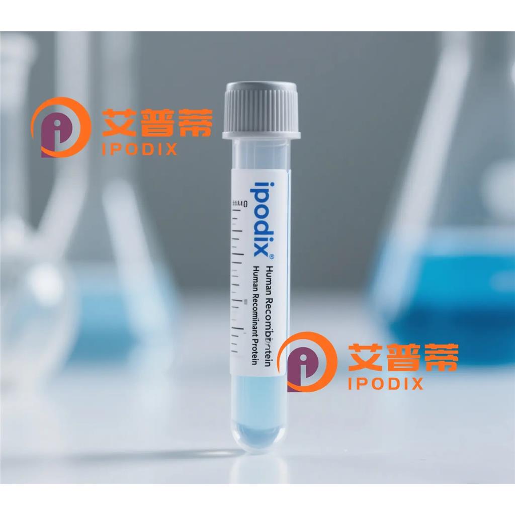 EPOR抗體,Rabbit Polyclonal EPOR Antibody