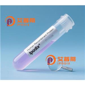 PPEF1抗体,Rabbit Polyclonal PPEF1 Antibody