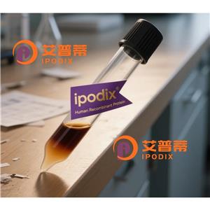 CSTF3抗体,Rabbit Polyclonal CSTF3 Antibody