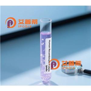 GABARAPL2抗体—艾普蒂