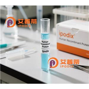 RIDA抗體,Rabbit Polyclonal RIDA Antibody