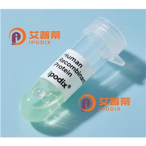 HYI抗體,Rabbit Polyclonal HYI Antibody