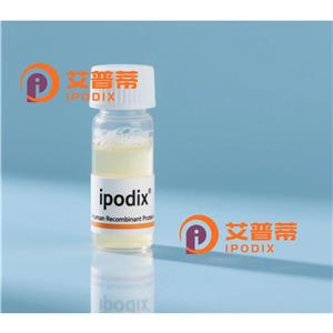 FYCO1抗体,Rabbit Polyclonal FYCO1 Antibody