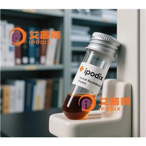 KRCC1抗體,Rabbit Polyclonal KRCC1 Antibody