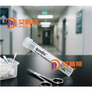 NHLRC2抗体,Rabbit Polyclonal NHLRC2 Antibody