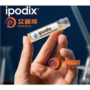 FIBIN抗體,Rabbit Polyclonal FIBIN Antibody