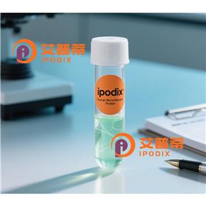 ASCL1抗體,Rabbit Polyclonal ASCL1 Antibody