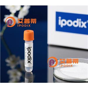 ASCL1抗體,Rabbit Polyclonal ASCL1 Antibody