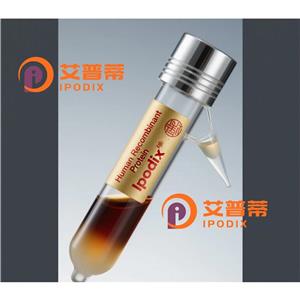 DRD4抗体,Rabbit Polyclonal DRD4 Antibody