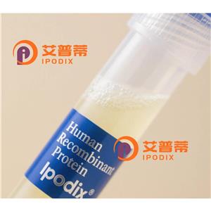 DRD4抗体,Rabbit Polyclonal DRD4 Antibody