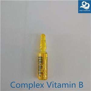 注射用復(fù)合維生素B,Complex vitamin B for injection