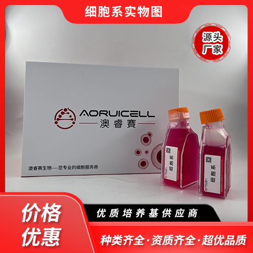 BRL-LUC（大鼠肝细胞（luc标记））,BRL-LUC