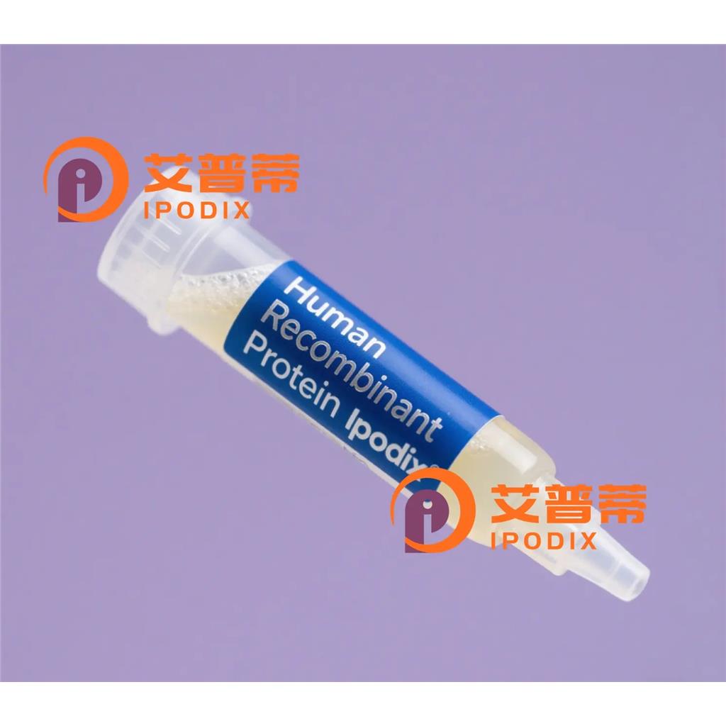 BEST1抗体,Rabbit Polyclonal BEST1 Antibody