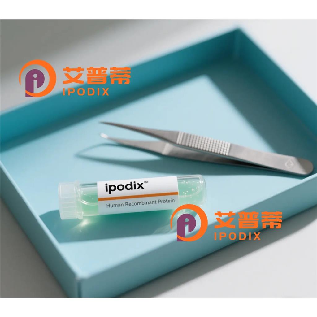 S100A1抗體,Rabbit Polyclonal S100A1 Antibody
