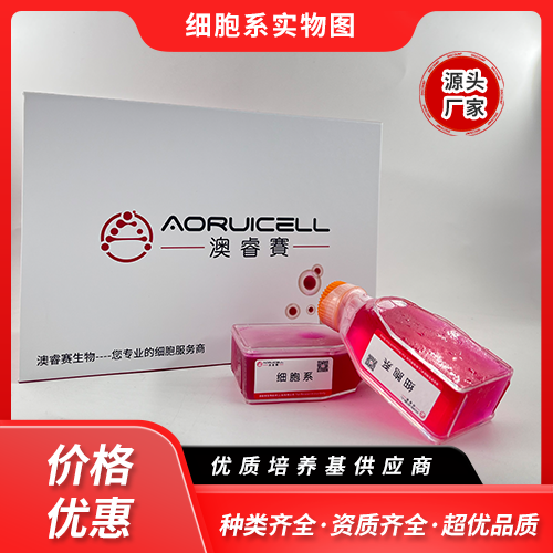 OCI-Ly7（人彌漫大B淋巴瘤細(xì)胞）,OCI-Ly7