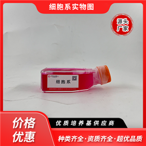 小鼠脂肪干細(xì)胞永生化