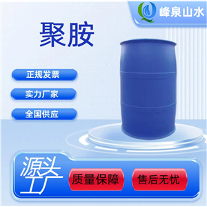 聚胺,polyamine