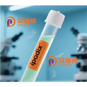 PLPP1抗体,Rabbit Polyclonal PLPP1 Antibody