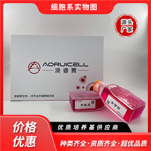 雞胚成纖維細(xì)胞永生化