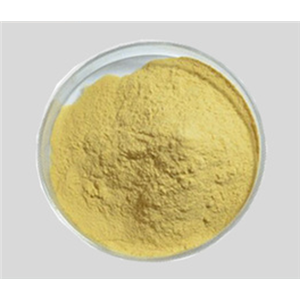 84392-08-5：丙二酰化金丝桃苷；槲皮素-3-O-（6”-O-丙二酰基)-β-D-吡喃半乳糖苷