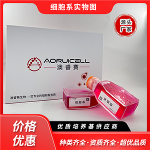 MKN-45-LUC（人胃癌細(xì)胞帶熒光素酶）,MKN-45-LUC
