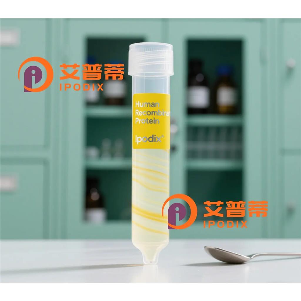 MRRF抗体,Rabbit Monoclonal MRRF Antibody