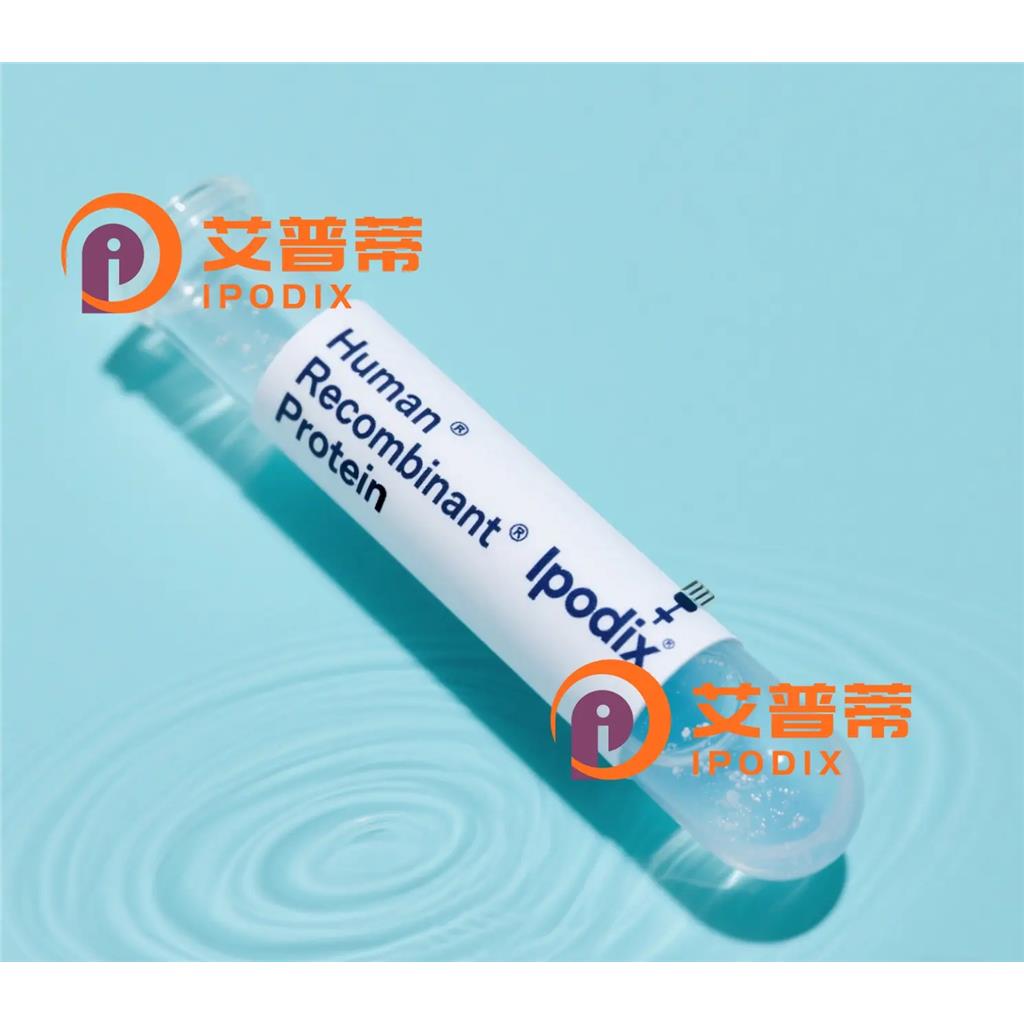 C9抗体,Rabbit Monoclonal C9 Antibody