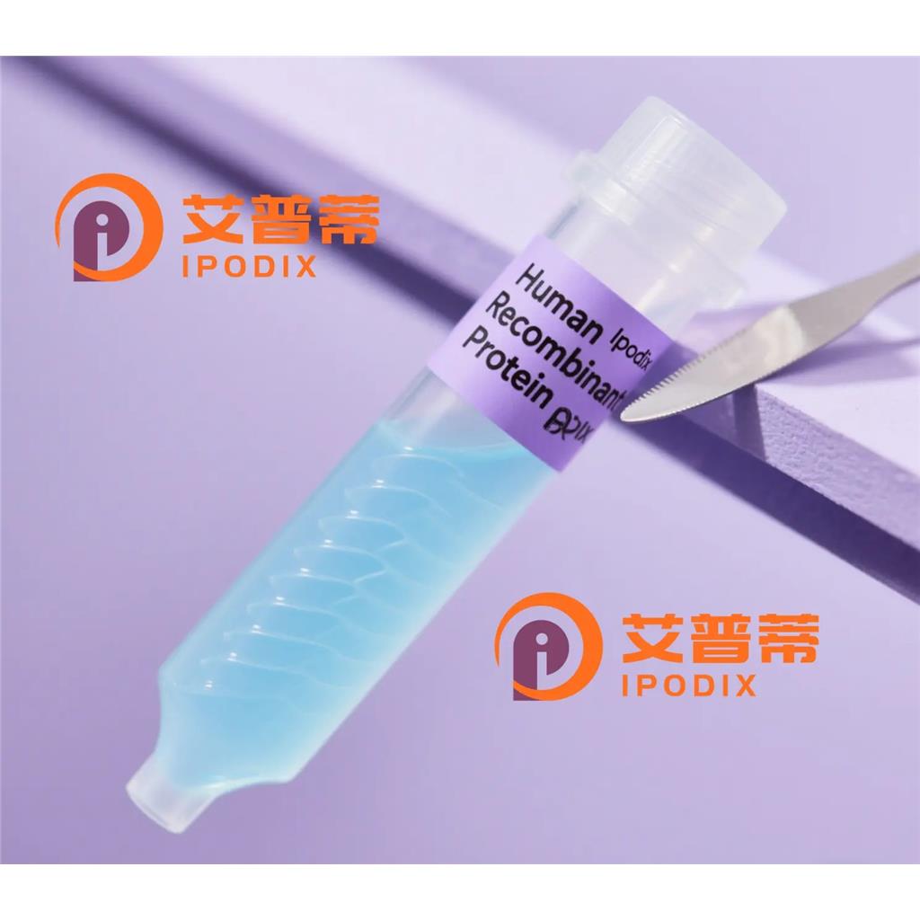 Talin2抗体,Rabbit Monoclonal Talin2 Antibody