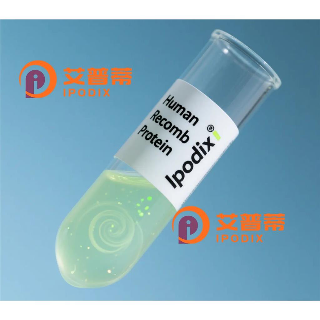 RAIDD抗体,Rabbit Monoclonal RAIDD Antibody