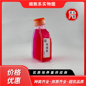 MKN-45-LUC（人胃癌細(xì)胞帶熒光素酶）,MKN-45-LUC