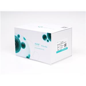 NCI-H446 细胞[H446细胞] (人小细胞肺癌细胞) (STR鉴定正确)CL-0401