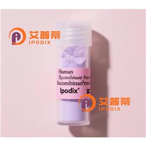 betaIITubulin抗体,Rabbit Monoclonal betaIITubulin Antibody