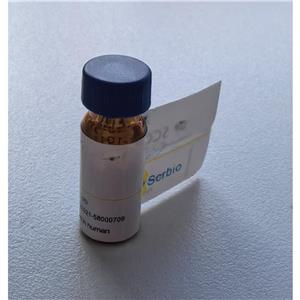 Blood group H antigen triose type 1 (>95% NMR)    賽可銳   現(xiàn) 貨