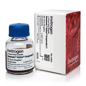 链霉亲和素磁珠 | Thermo Fisher