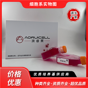 L1210-LUC（小鼠淋巴細(xì)胞白血病帶熒光素酶）,L1210-LUC