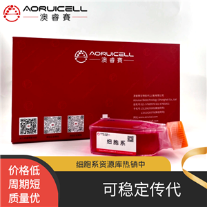 CFPAC-1-LUC（人胰腺導(dǎo)管癌細(xì)胞帶熒光素酶）