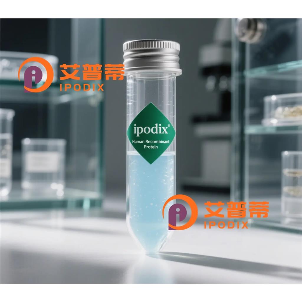 NEDD9抗体,Mouse Monoclonal NEDD9 Antibody