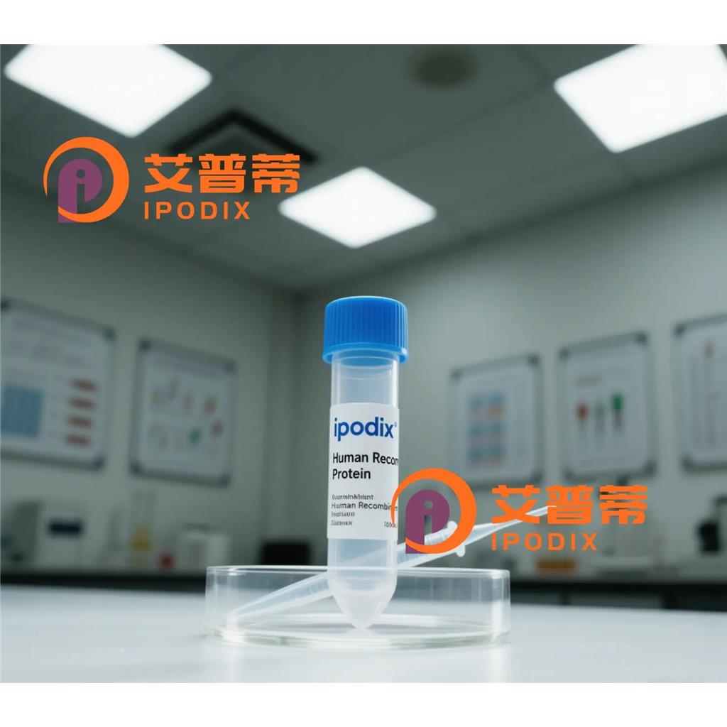 DTX2抗體,Rabbit Polyclonal DTX2 Antibody