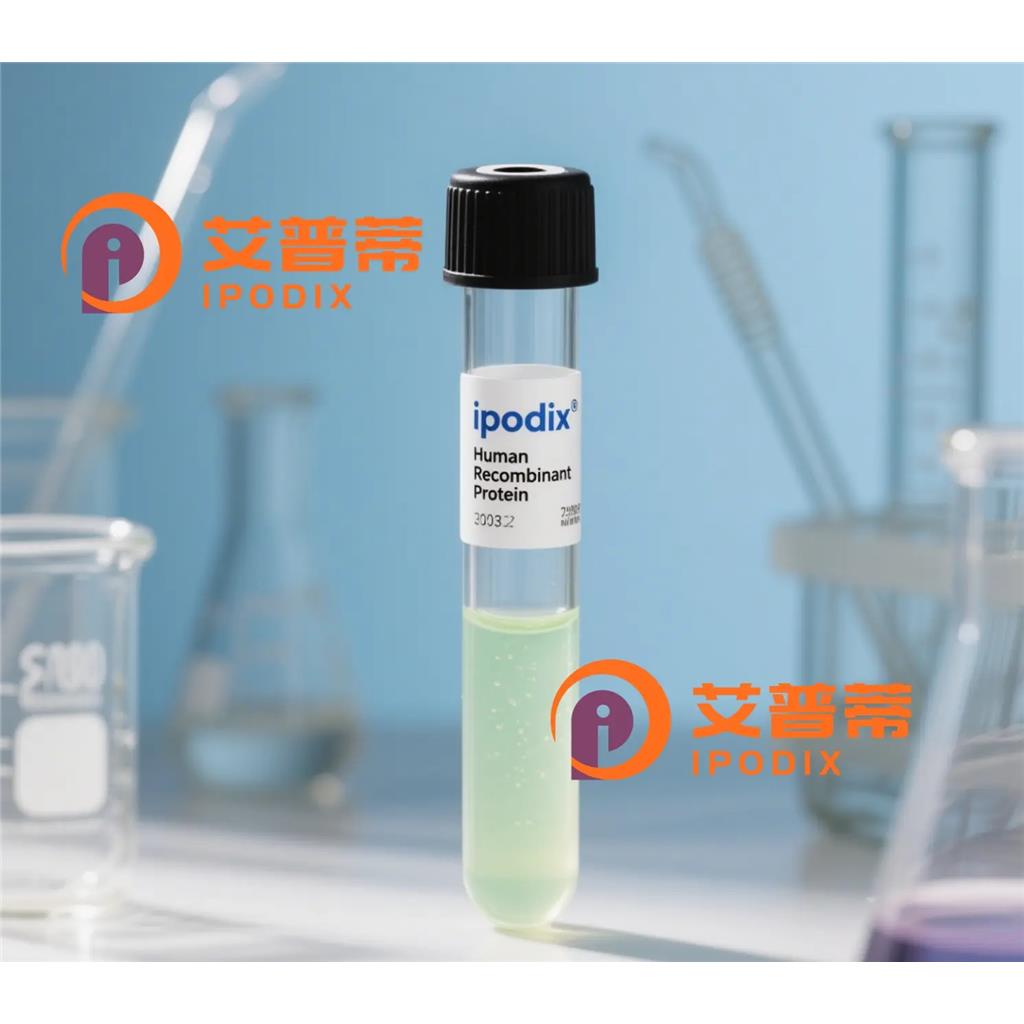 ABCF1抗體,Rabbit Polyclonal ABCF1 Antibody