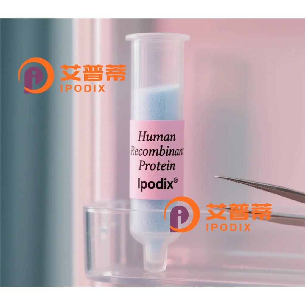 PTEN抗體,Rabbit Polyclonal PTEN Antibody