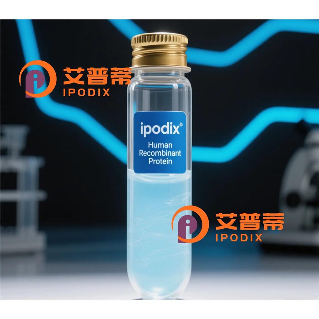 TADA2A抗体,Rabbit Polyclonal TADA2A Antibody