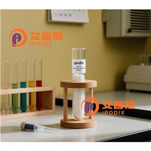 CDKN1C抗體;CDKN1C Antibody—艾普蒂