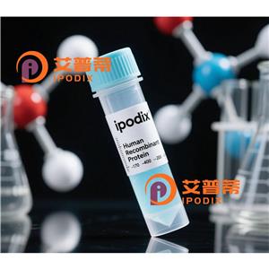 GLUL抗体;GLUL Antibody—艾普蒂